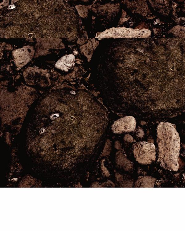 Homme-6-精壯美男魚